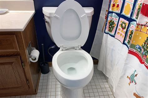 Image result for Best Push Button Toilets