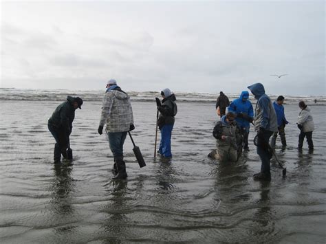 Image result for Razor Clam Digging