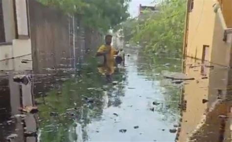 मिचौंग साइक्लॉन के बाद चेन्नई में तेल रिसाव को लेकर आरोप-प्रत्यारोप का ...