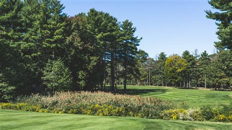 Maplegate Country Club - Womens Golf Day
