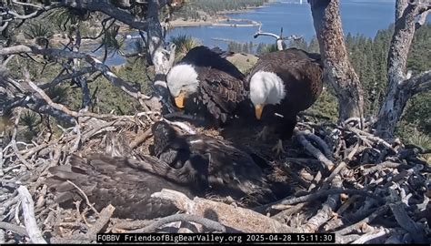 Sunny and Gizmo Continue to Grow Under Watchful Eyes of Jackie and ...