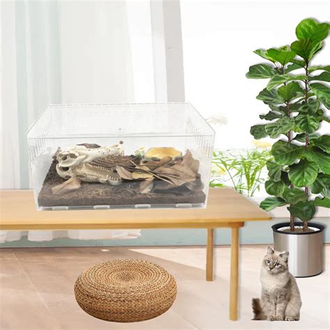 ZeHee Transparent Magnetic Acrylic Reptile Cage - Suitable India | Ubuy
