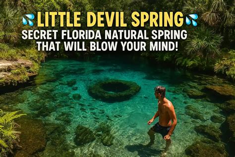 Image result for Little Devil Spring