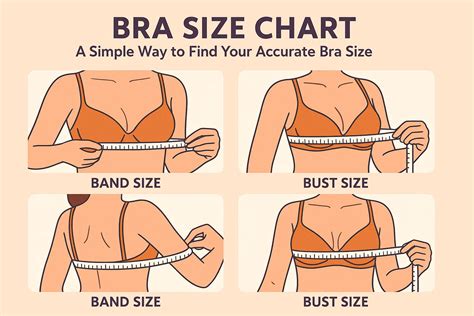 Bra Size Chart – A Simple Way To Find Your Accurate Bra Size – NeceSera