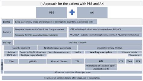 Eosinophilia and Kidney Disease: More than Just an Incidental Finding?