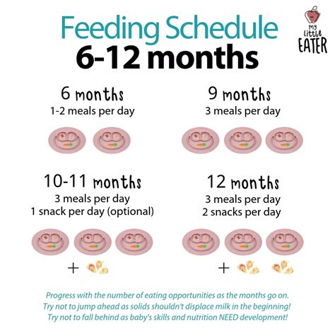 Feeding Schedules (6-12 months) - My Little Eater | Baby led weaning ...