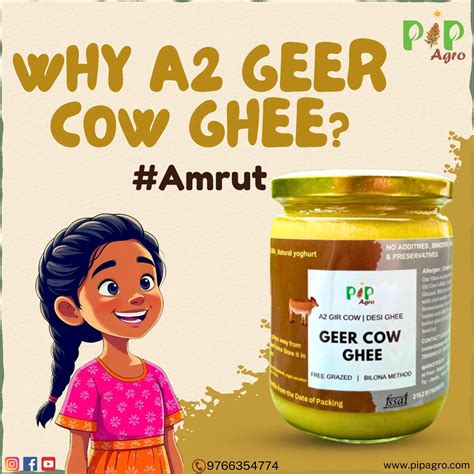 Desi Gir | Geer Cow Bilona A2 Ghee | गीर गाईचे तूप – PIP AGRO
