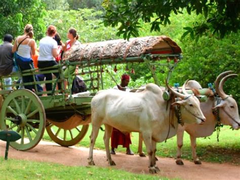Village Tourism in Kerala | Explore Rural Life and Culture
