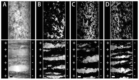 The Effect of Dielectric Polarization Rate Difference of Filler and ...