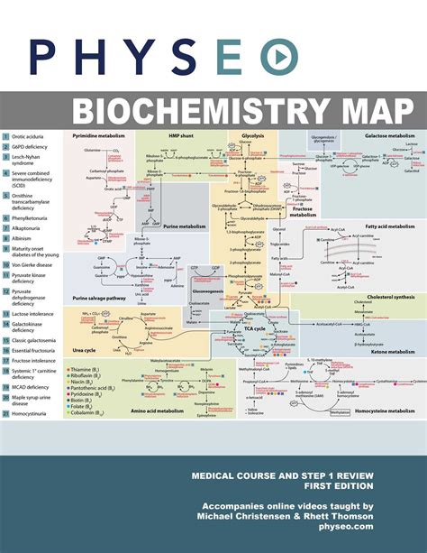 The Ultimate Guide to Acs Biochemistry Practice Exam: Tips and Tricks ...