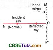 Image result for Most Objects Reflect Light