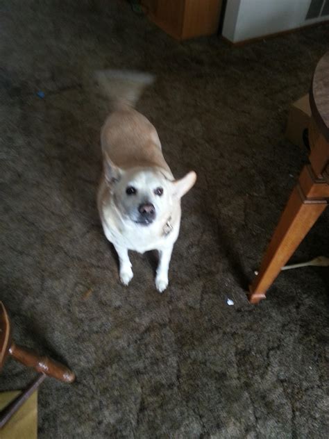 the Dabi of mine old age | Scrolller