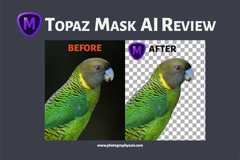 Topaz Mask Tutorial 的图像结果