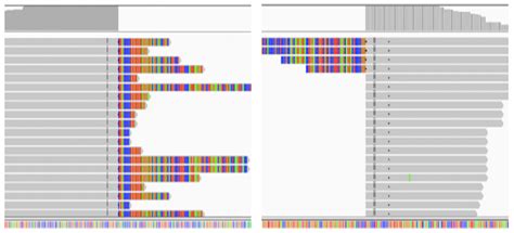 Therapeutic Advances of Rare ALK Fusions in Non-Small Cell Lung Cancer