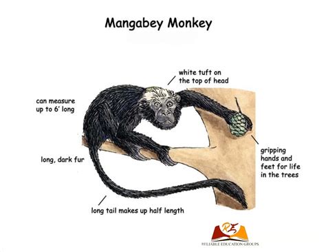 Weather, Climate and Adaptations of Animals to Climate Class 7 Science ...
