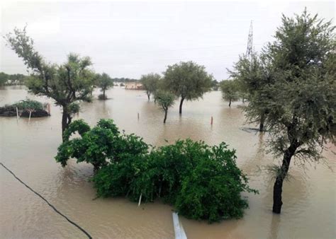 Heavy rains cause flood and waterlogging in Punjab, Haryana and ...