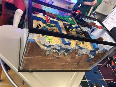 Ocean Floor Diorama Examples Creation Model And Sea Floor Studies