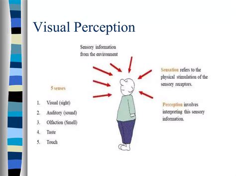 Image result for Visual Perception Definition
