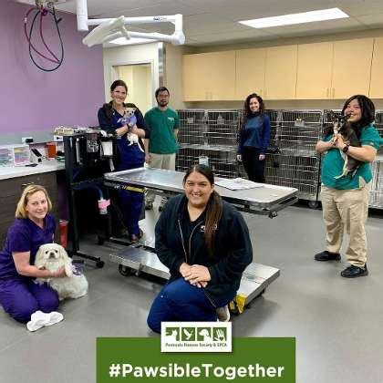 Peninsula Humane Society & SPCA Office Photos