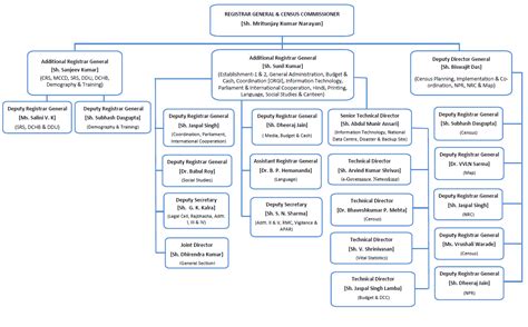 Age pyramid and sex ratio, 2011 | Government of India