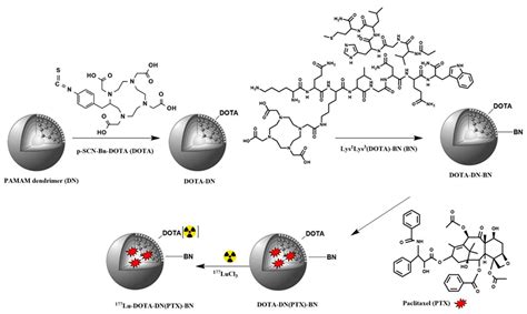 Synthesis and Evaluation of 177Lu-DOTA-DN(PTX)-BN for Selective and ...