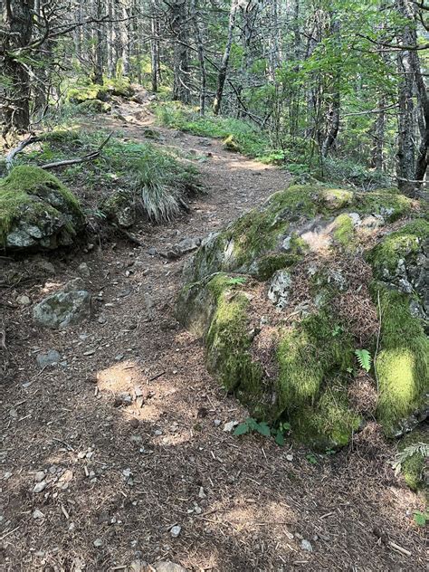 Mount Si - Old Trail — Washington Trails Association