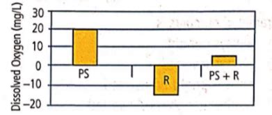 The given graph shows the productivity of an aquatic ecosystem measured ...
