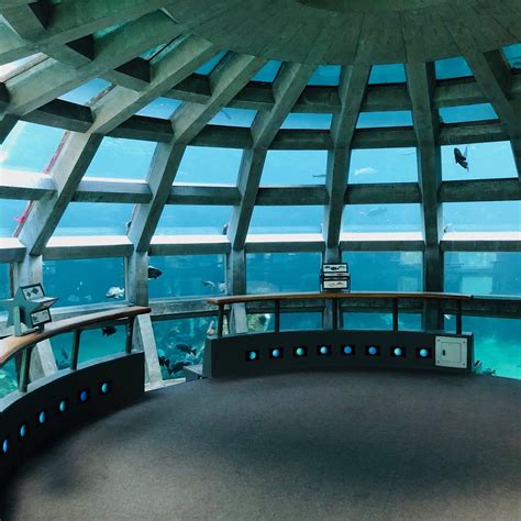 SEATTLE AQUARIUM (2025) All You Need to Know BEFORE You Go (with Photos ...