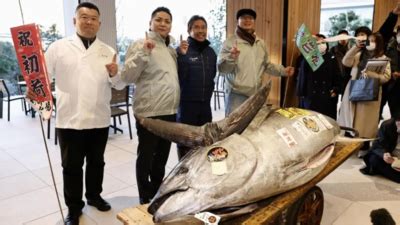 Japan: Tuna 'as fat as a cow' sells for $1.3 million | World News ...