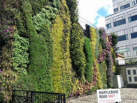 Edgware Road Tube Station, Marylebone | Biotecture | Green wall, Living ...