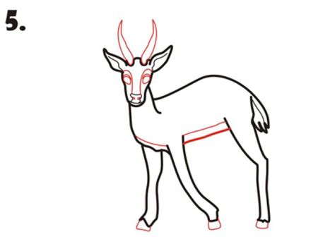 How To Draw a Gazelle - EASY Drawing Tutorial!