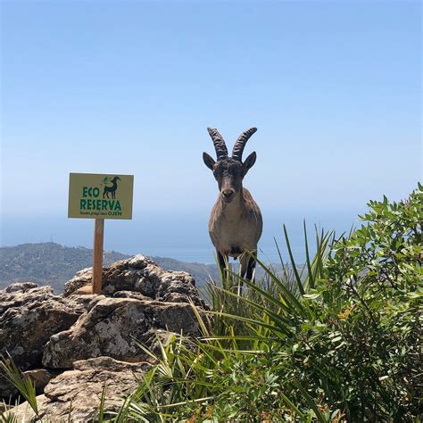 ECO RESERVA OJEN (2025) All You Need to Know BEFORE You Go (with Photos ...