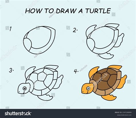 Image result for Turtle Drawing Tutorial