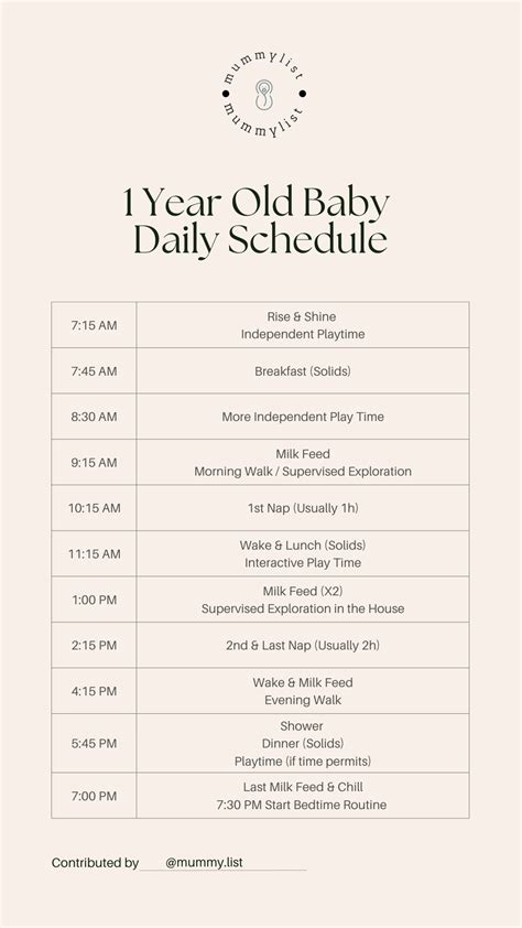 Daily Schedule for 1 Year Old Toddler (Feeding, Naps & Play) - Mummy List