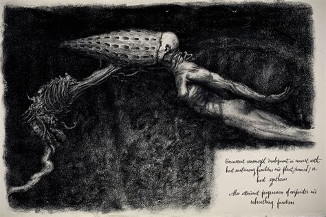 Alien Covenant Evolution 的图像结果