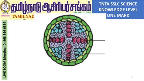 SSLC SCIENCE MCQ 1-100 OPEN BOOK KNOWLEDGE LEVEL QUESTIONS BY RAMESH ...