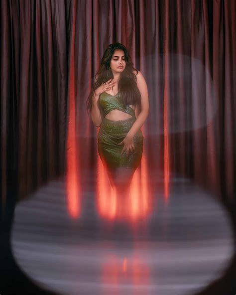 Image result for Divi VIP