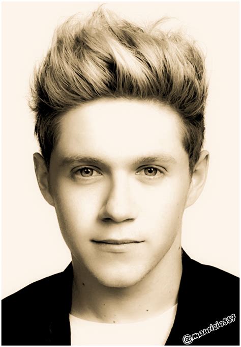 Niall Horan 2014 Hairstyle