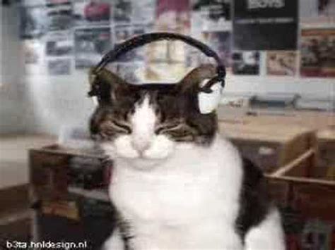 Image result for Cat Generator Control Module