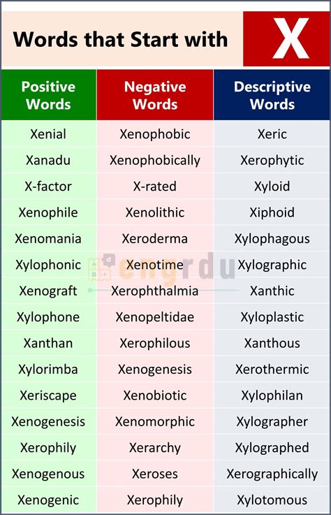 350+ Words that Start with X | X-Words List in English