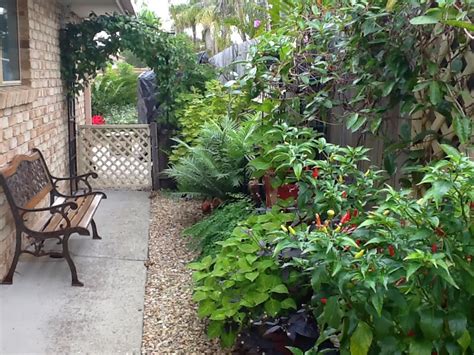 Beautify Your Vertical Garden with Native Australian Plants