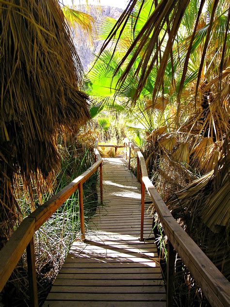 Thousand Palms Oasis Preserve, California