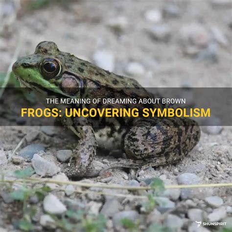 The Meaning Of Dreaming About Brown Frogs: Uncovering Symbolism ...