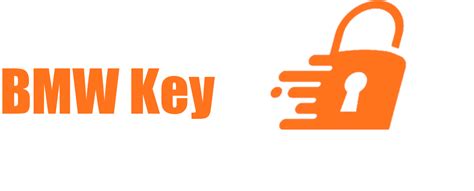 Image result for BMW Key Programer