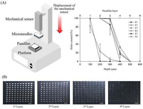 Rapidly Dissolving Microneedles Incorporating Lidocaine Hydrochloride ...