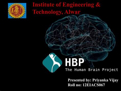 Blue Brain Project 的图像结果