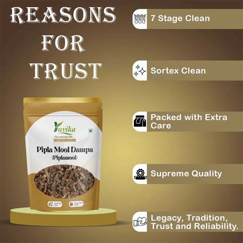 Pipla Mool Dampa - Piplamool - Peepla Mool - Yuvika Herbs Ayurveda