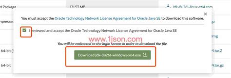 Java JDK Installer 的图像结果
