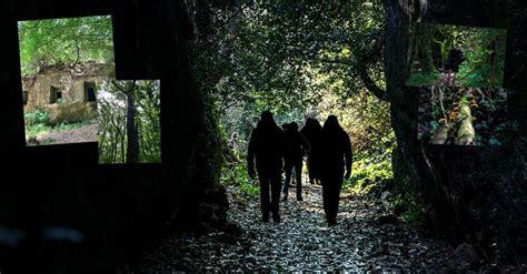 Exploring the mysteries of the past in a forest: An adventure among ...