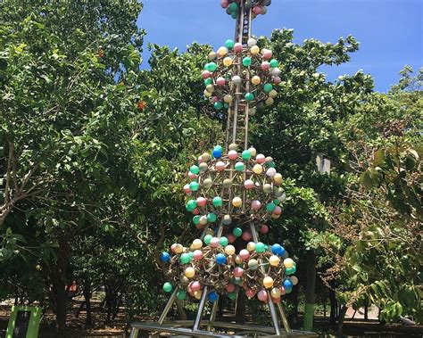 THE 10 BEST Places to Visit in Yauco (2025) - Must-See Attractions